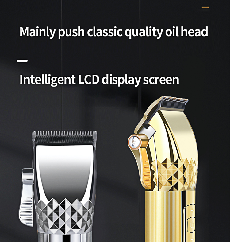 hcm014_01.jpg